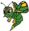 Brown County High School logo